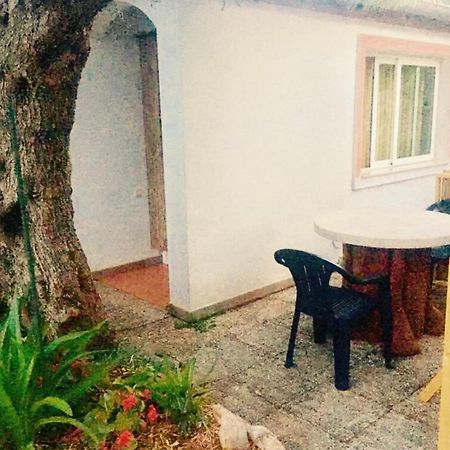 روفينج Olive Tree Apartments المظهر الخارجي الصورة