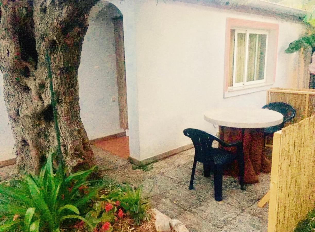 روفينج Olive Tree Apartments المظهر الخارجي الصورة